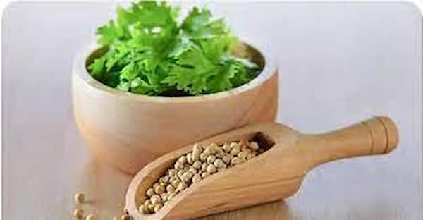 تصویر 2 از تخم گشنیز محلی حاصل کشت منطقه‌ ای